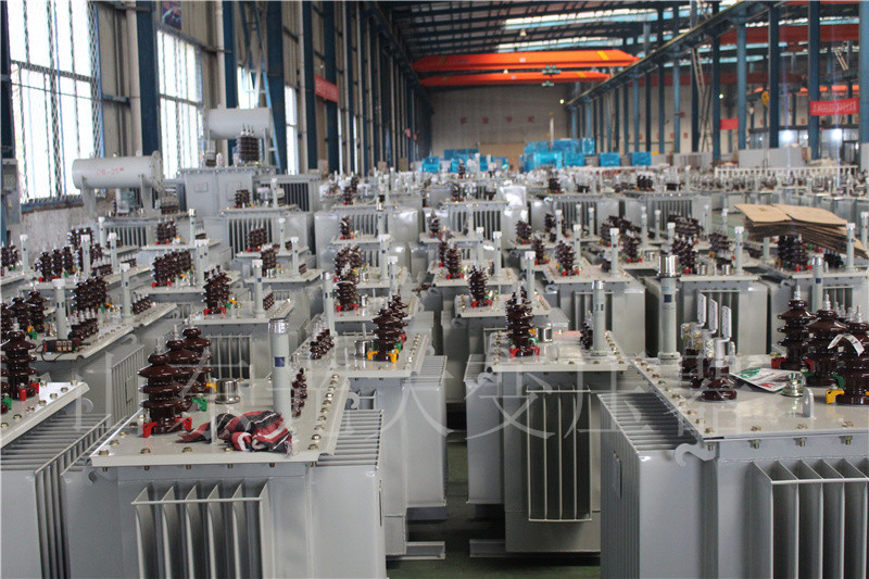 沁阳S22-800KVA/10KV